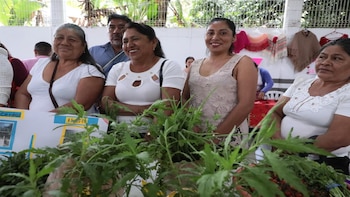 El Gobierno del Estado de