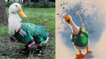 Estos son los mejores memes que ha dejado el pato Merlín, la sensación del Mundial en México