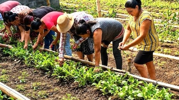Impulsan una escuela agroecológica para formar a jóvenes de zonas rurales en occidente salvadoreño