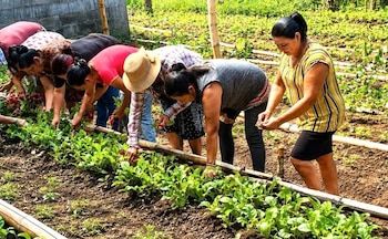 La escuela agroecológica de Morazán impulsa alternativas de desarrollo para jóvenes rurales con formación técnica y sostenibilidad ambiental. (Foto cortesía PEOF El Salvador)