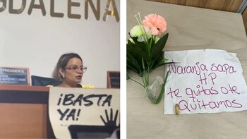 Diputada del Magdalena Margarita Guerra