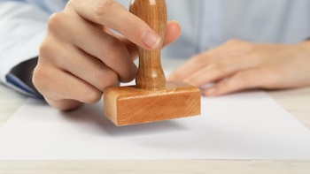 Creación de empresas en alza: