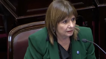Ley de propiedad privada: sin la venta de tierra a extranjeros, comenzó la sesión en el Senado