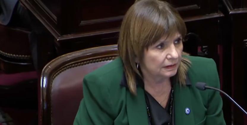 Patricia Bullrich en el Senado