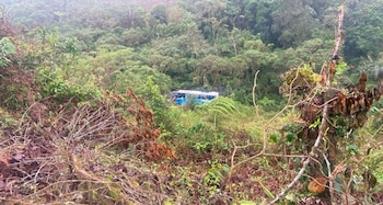 Las autoridades confirman por el