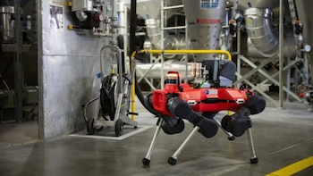 Encuentran una nueva utilidad para los perros robot: ahora detectan fugas de gas