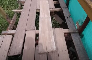 Este es el puente por