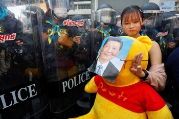 Un manifestante que lleva un