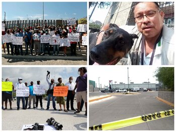 (Foto: EFE/José Luis de la