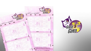 En el sorteo de hoy,