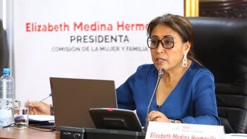 議会:女性委員会委員長が強姦犯の化学的去勢を支持して発言