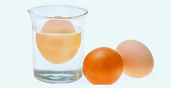 Prueba del huevo; si se