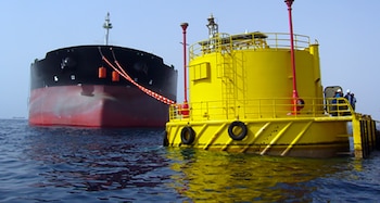 Barco bluewater sea lion