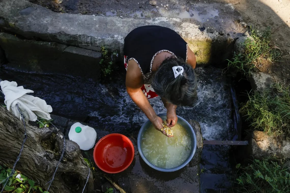 Los agricultores de Ahuachapán destinan sus cultivos de maíz exclusivamente al consumo y la subsistencia familiar. (Cortesía: Unicef El Salvador)