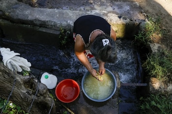 Los agricultores de Ahuachapán destinan sus cultivos de maíz exclusivamente al consumo y la subsistencia familiar. (Cortesía: Unicef El Salvador)