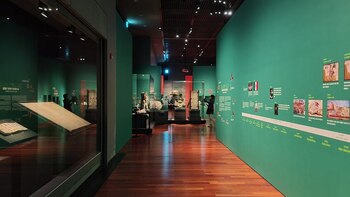 El director general del Museo