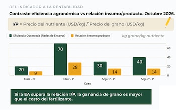 Maíz y soja 2026/27: eficiencia agronómica y relación insumo producto