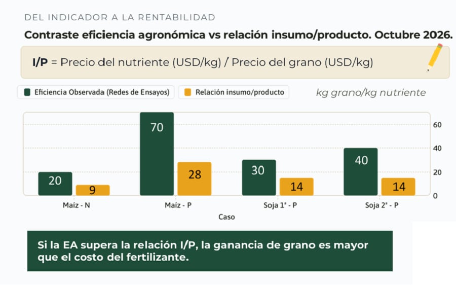 Fertilizar AC puso de relieve el contraste entre la eficiencia agronómica y relación insumo/producto a octubre 2026 (Fertilizar AC)