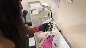 El hallazgo de puntas de