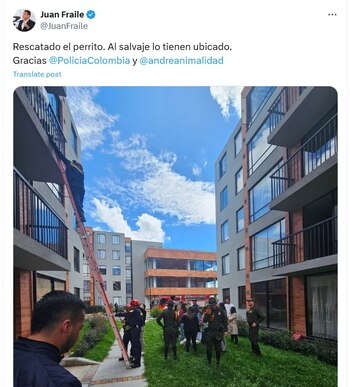 El animal fue rescatado -