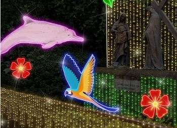 Entre los alumbrados que los