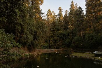 El Desierto de los Leones