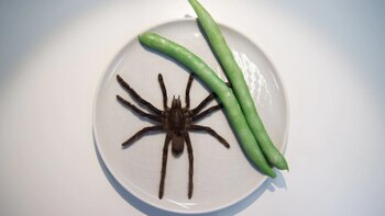 Estos son los platillos “más