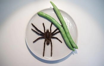 Tarántula frita: un platillo popular