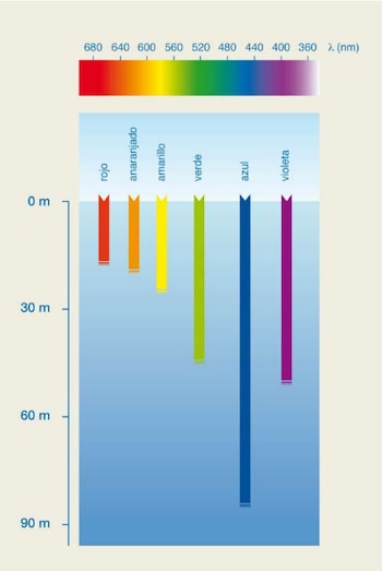 El espectro de luz no