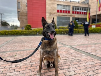 Cuerpo de Bomberos de Bogotá