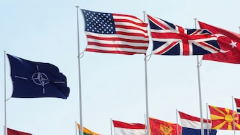 La suspensión de la Alianza