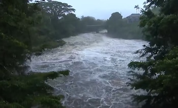 Un río con crecida de aguas marrones y turbulentas atraviesa un paisaje natural con densa vegetación verde, bajo un cielo nublado y gris