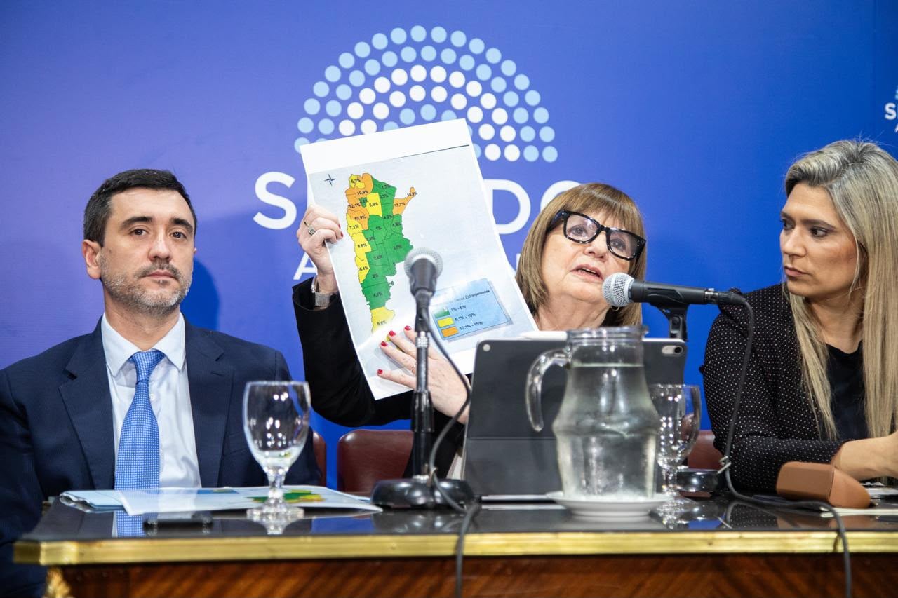 Patricia Bullrich presentó los cambios en el proyecto acordado con los aliados