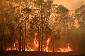 Incendios en Moruya, al sur