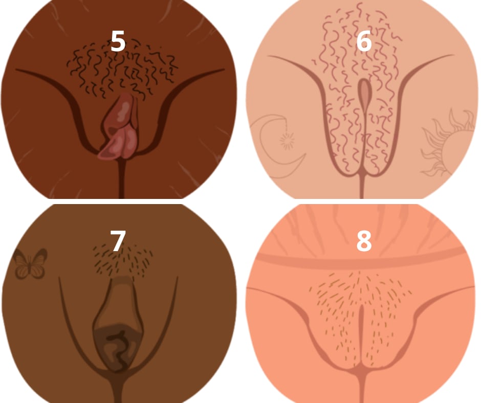 Otros 4 tipos de vulva según la forma de los labios vaginales (Healthline)