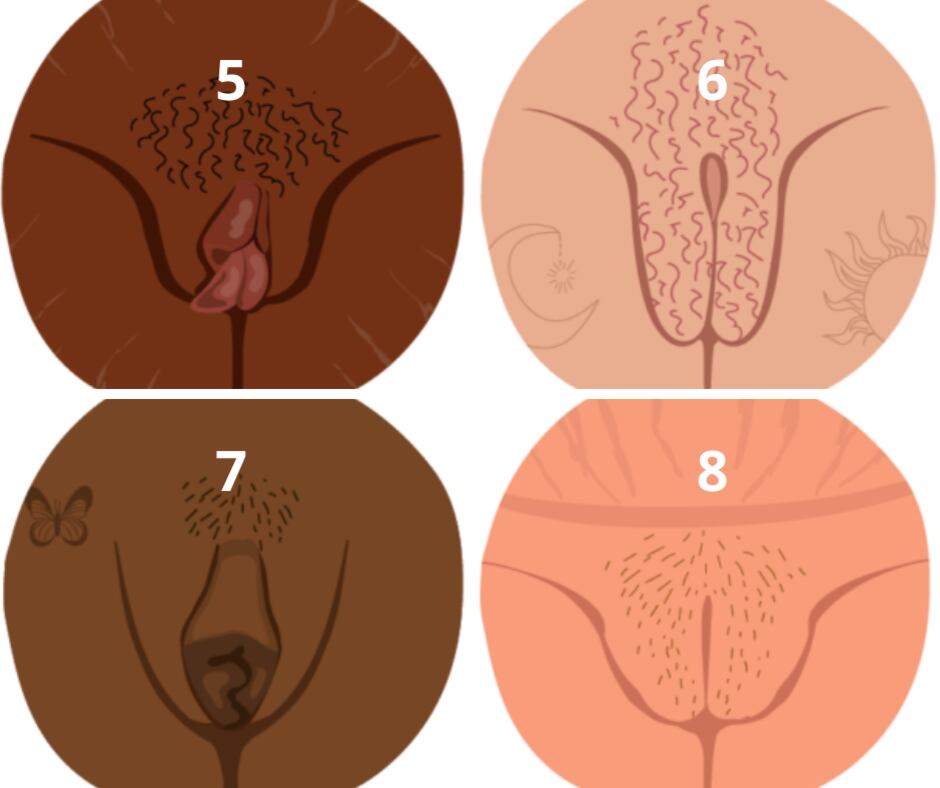 Los labios vaginales mayores y menores son pliegues de piel ubicados alrededor de la abertura vaginal (Healthline)