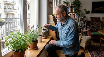 Un hombre de mediana edad con camisa de mezclilla riega plantas en maceta de lavanda y toronjil, que están en el alféizar de una ventana.