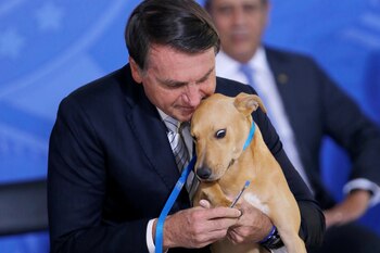 Bolsonaro sostiene a su perro