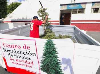 Esta medida busca reducir los