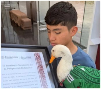 pato merlin -México- 26 junio
