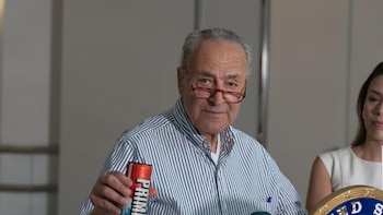 Senadores demócratas piden a los