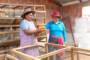 La inseguridad alimentaria afecta a