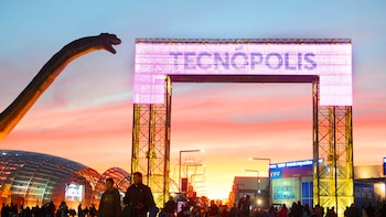 El Gobierno llamará a licitación