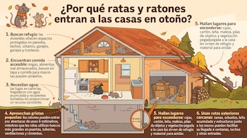 Ilustración del corte transversal de una casa con ratones en el ático, la cocina, el sótano y el jardín junto a textos explicativos numerados