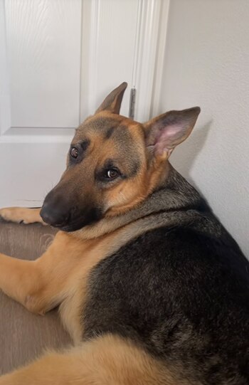 El video de Rocky abriendo