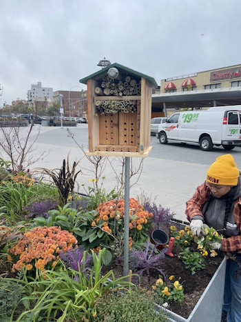 Un “hotel para abejas” instalado