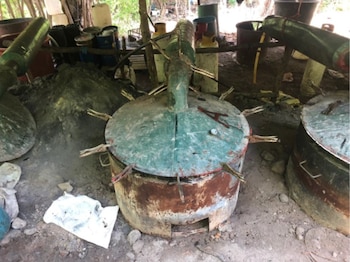 (Foto: Secretaría de la Defensa