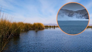 Los incendios recurrentes en los