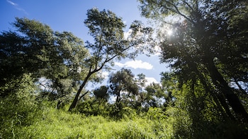 La crisis del COVID-19 puede