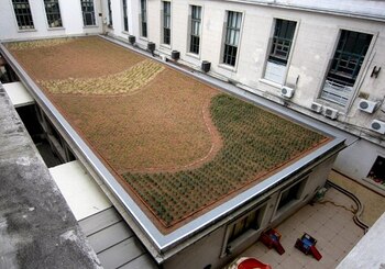 La clave del éxito para